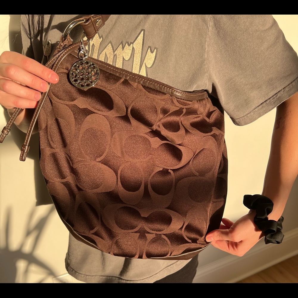Brown Coach Bag